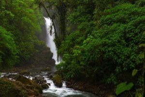 catarata