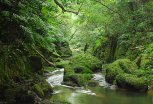 river